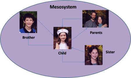 mesosystem-diagram2